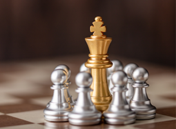 Consulting Services